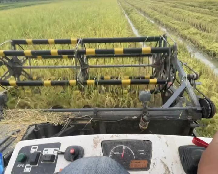@តៃកុង វ័យក្មេង🌾🚜