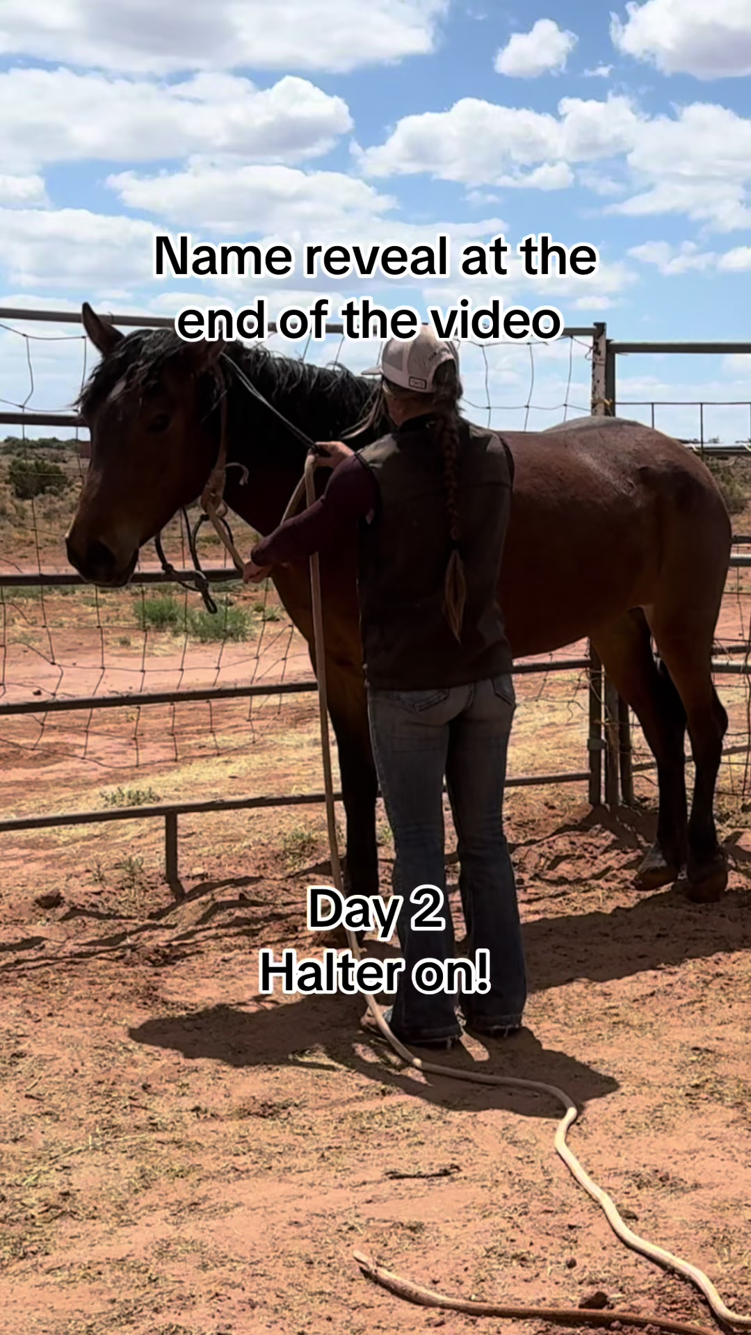 @CanyonStateHorsemanship