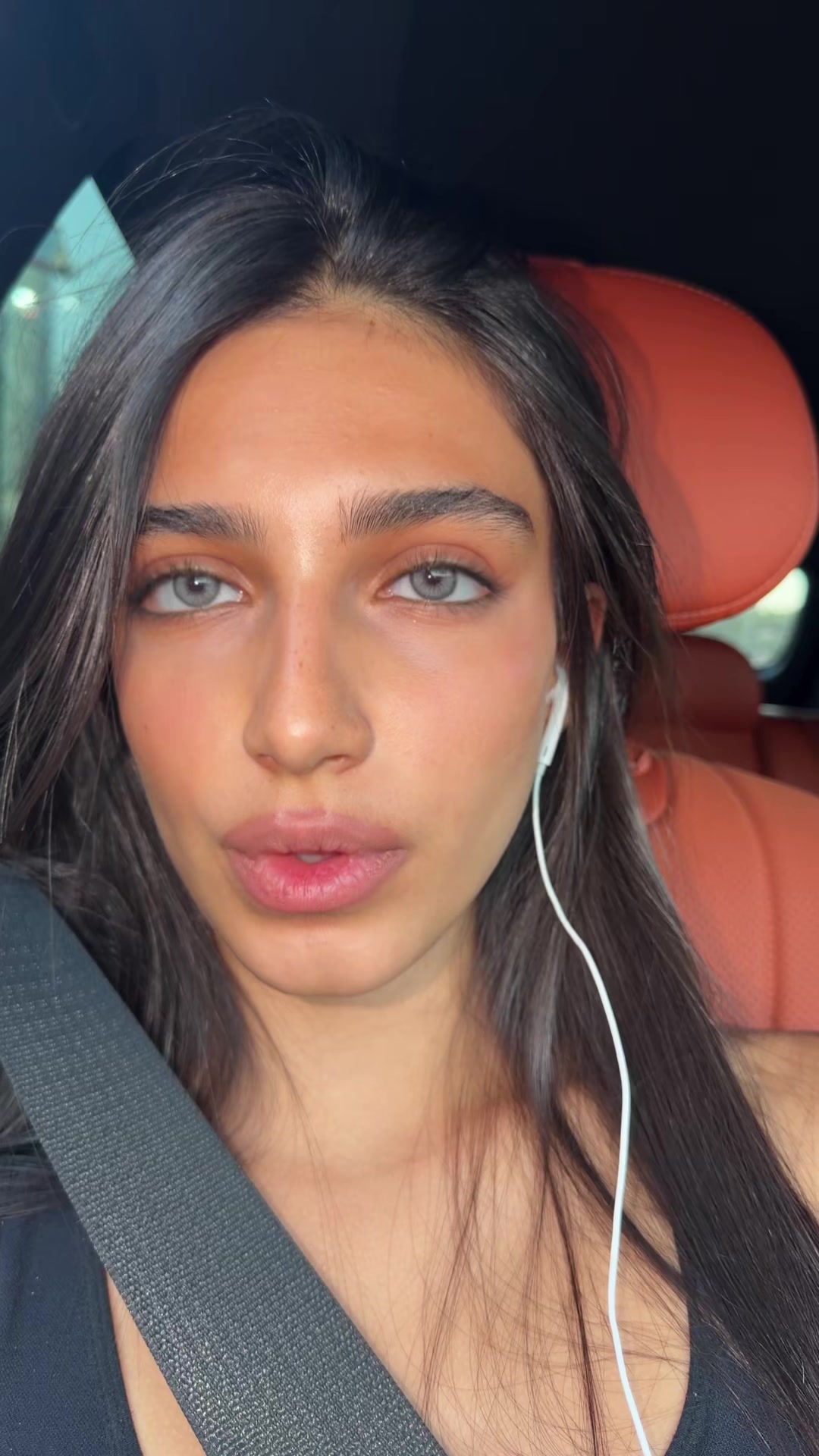 @ayla 🪽