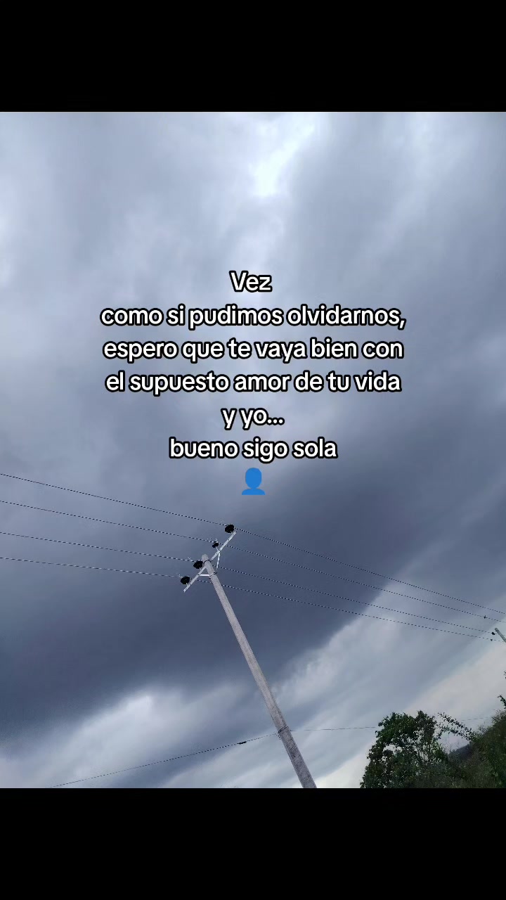 @🌺kary🌺