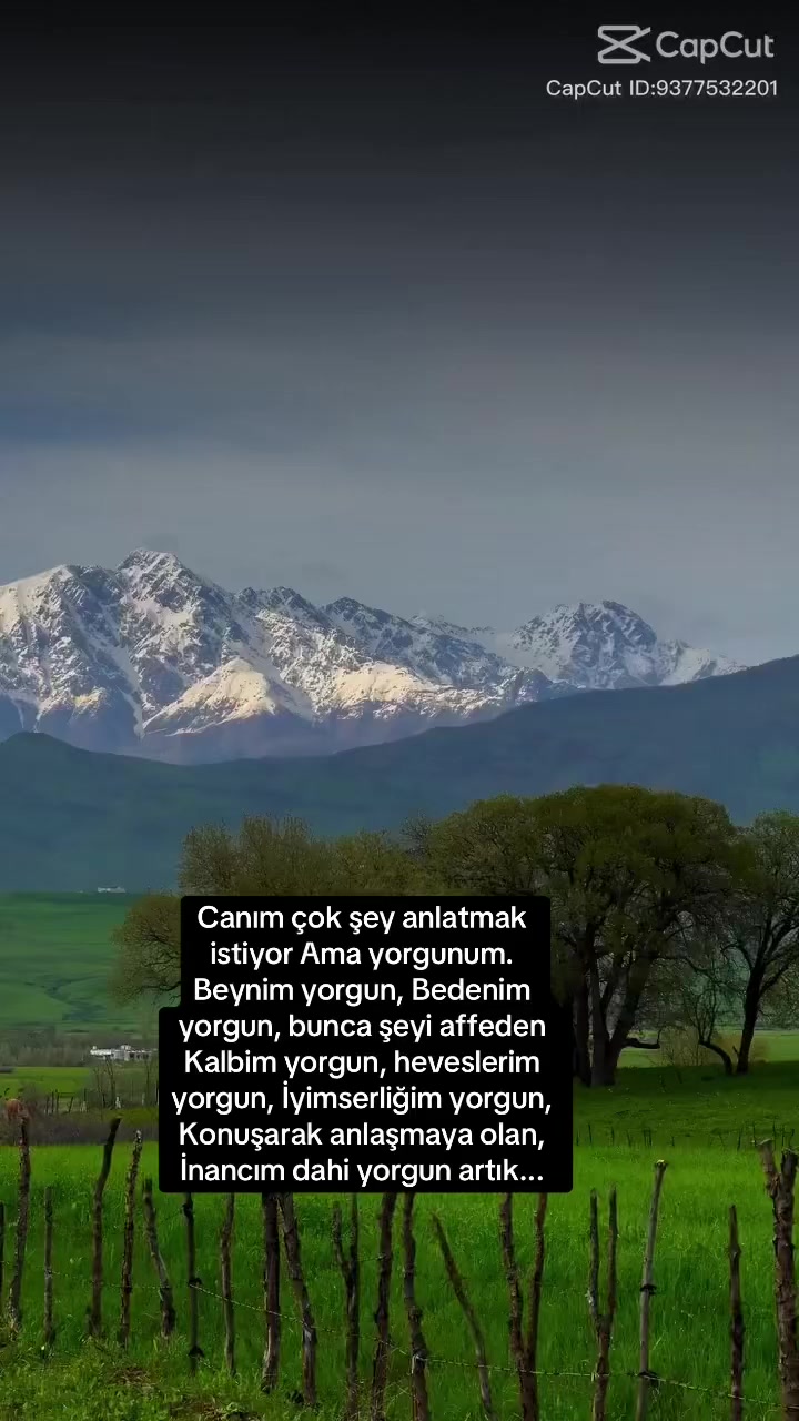 @HAYAT