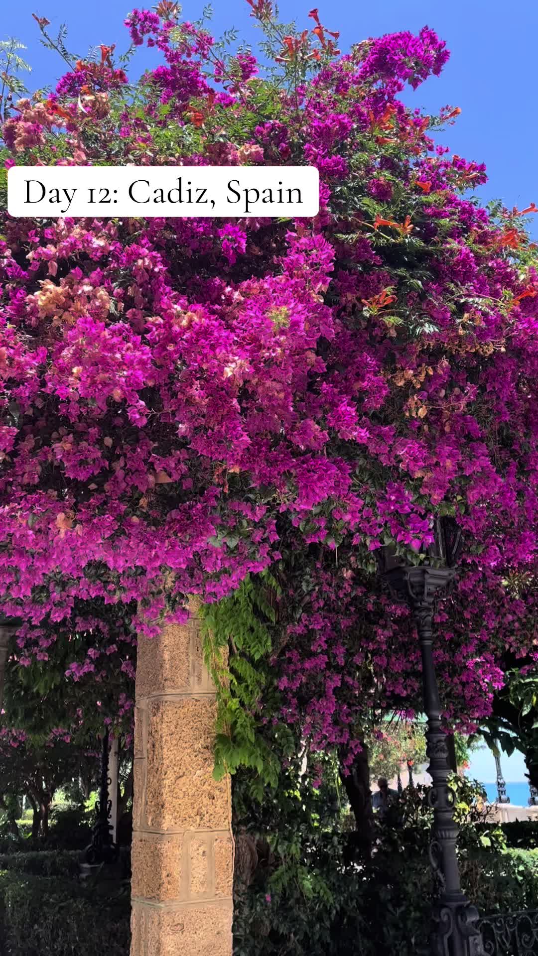 @Seeingbeautifulsites
