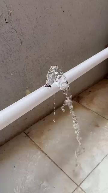 @𝗔𝘆𝗲𝘀𝗵𝗮 🇵🇰
