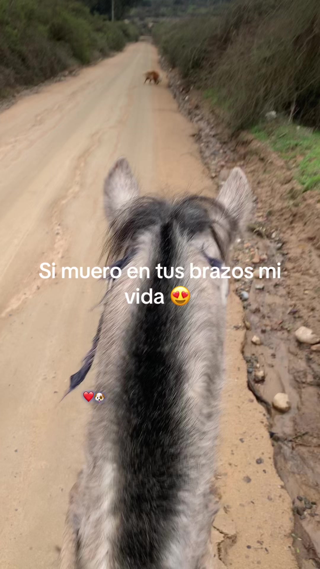 @Chica &eacute;nfasis👎🏻💗