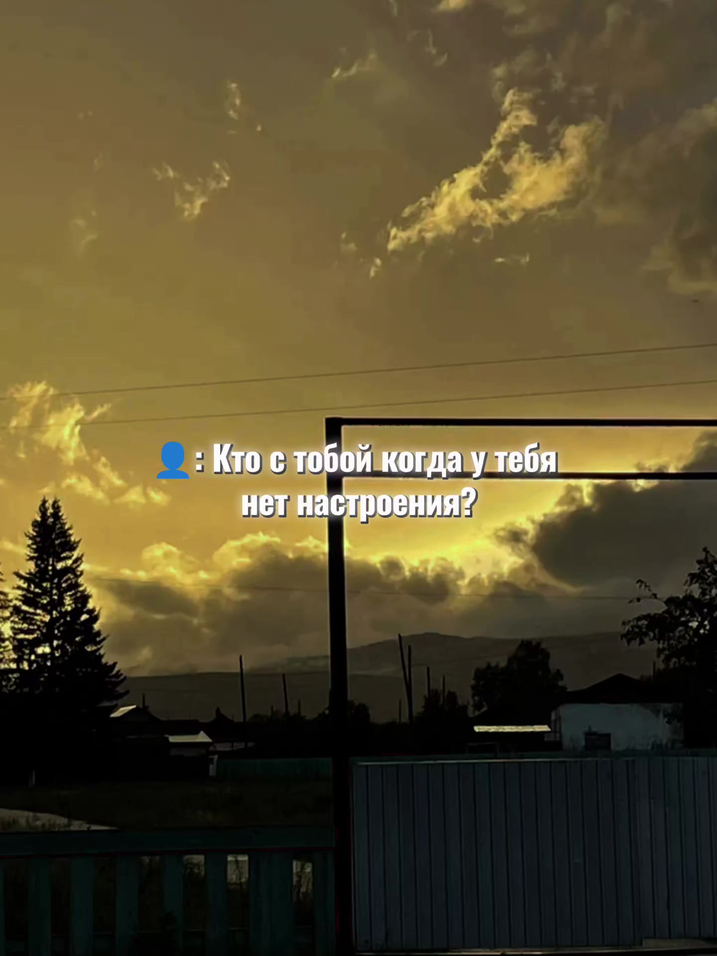 @шарапик 336