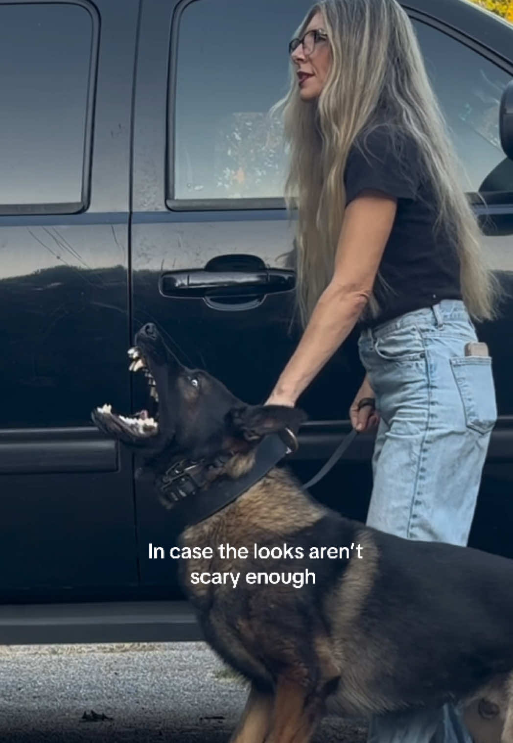 @True Guard K9 I Tara