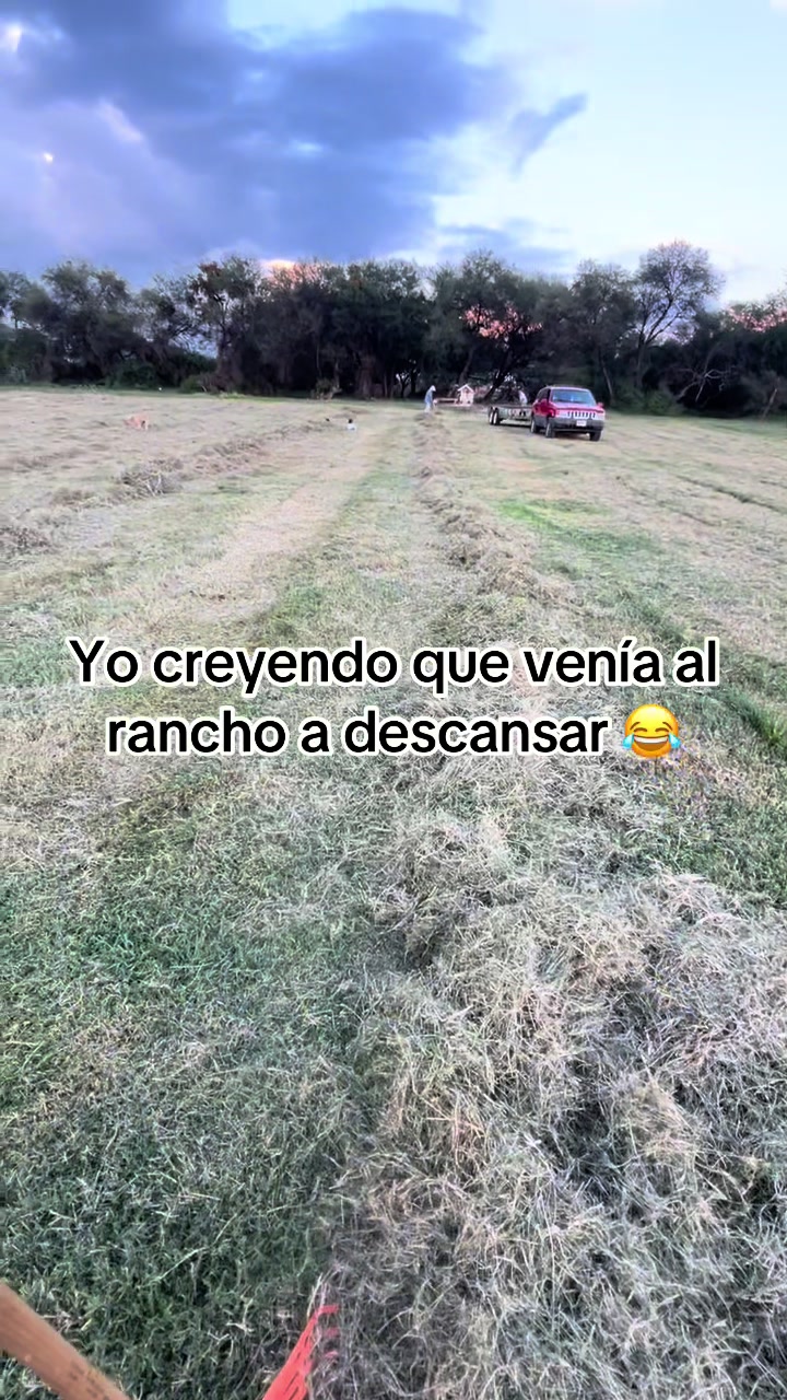 @Merry 💗