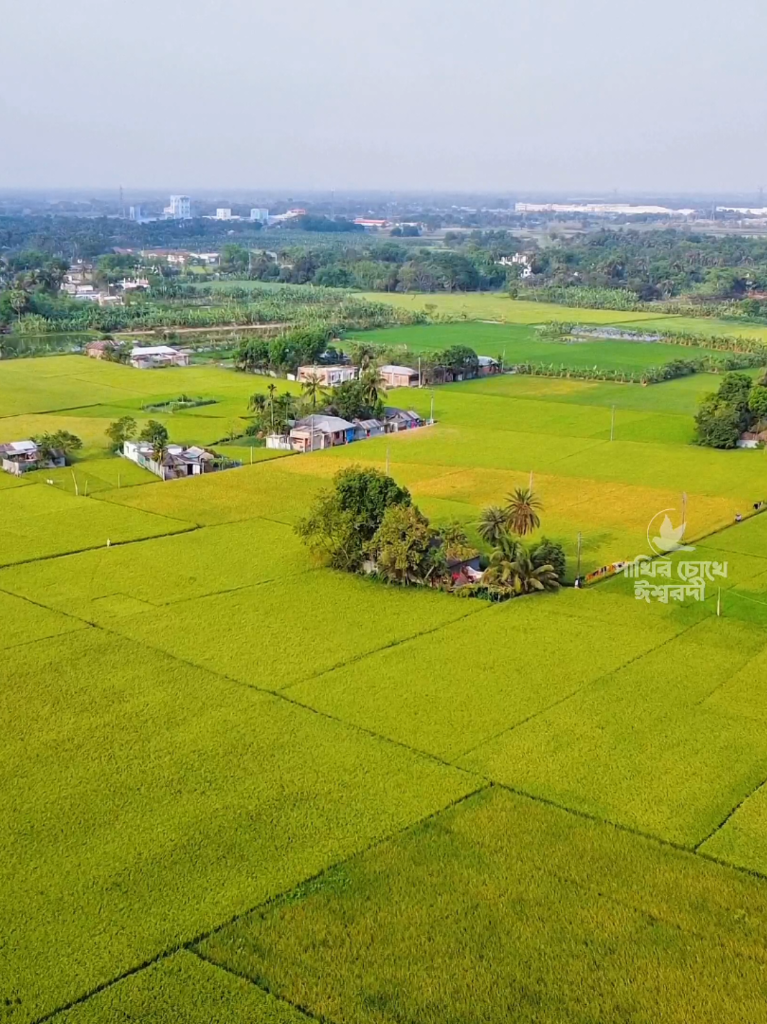 @পাখির চোখে ঈশ্বরদী