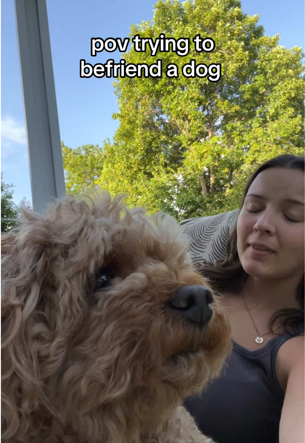 @indiafromtiktok