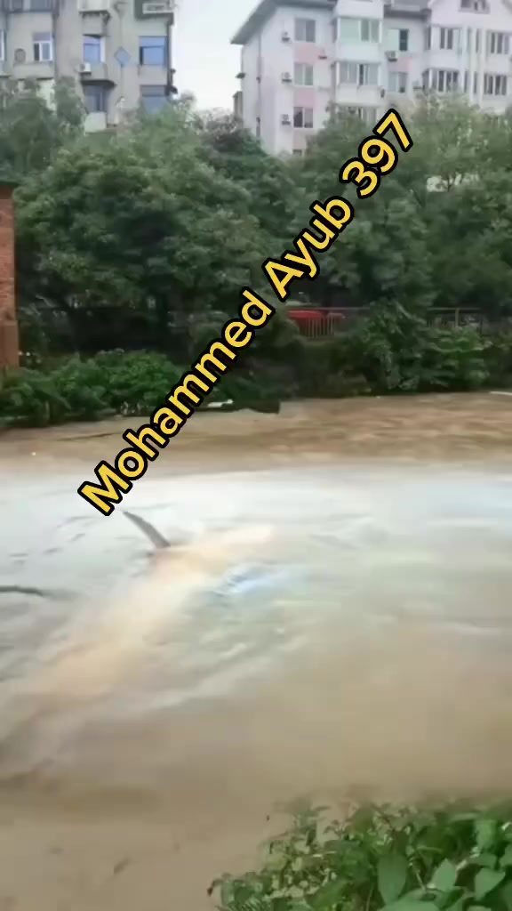 @MOHAMMED AYUB 4000