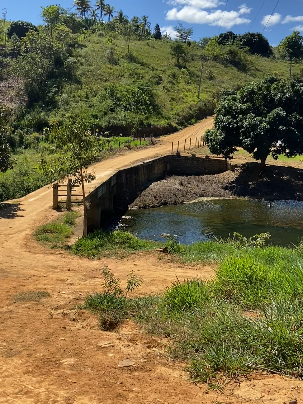 @Ro&ccedil;a 🤠🌱