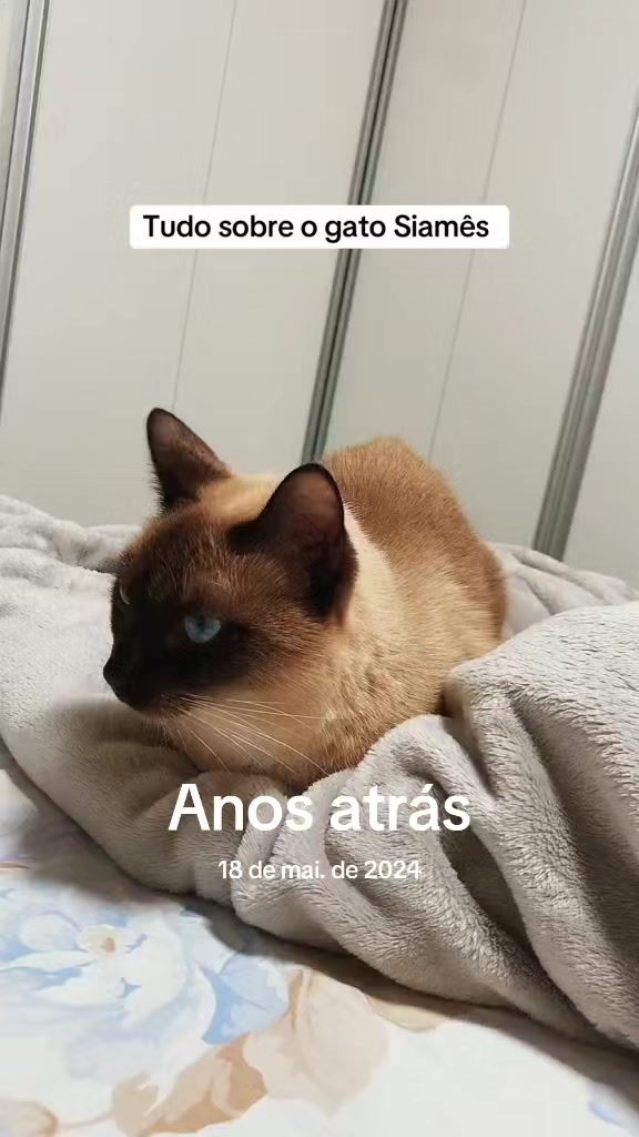 @Tropa Correia