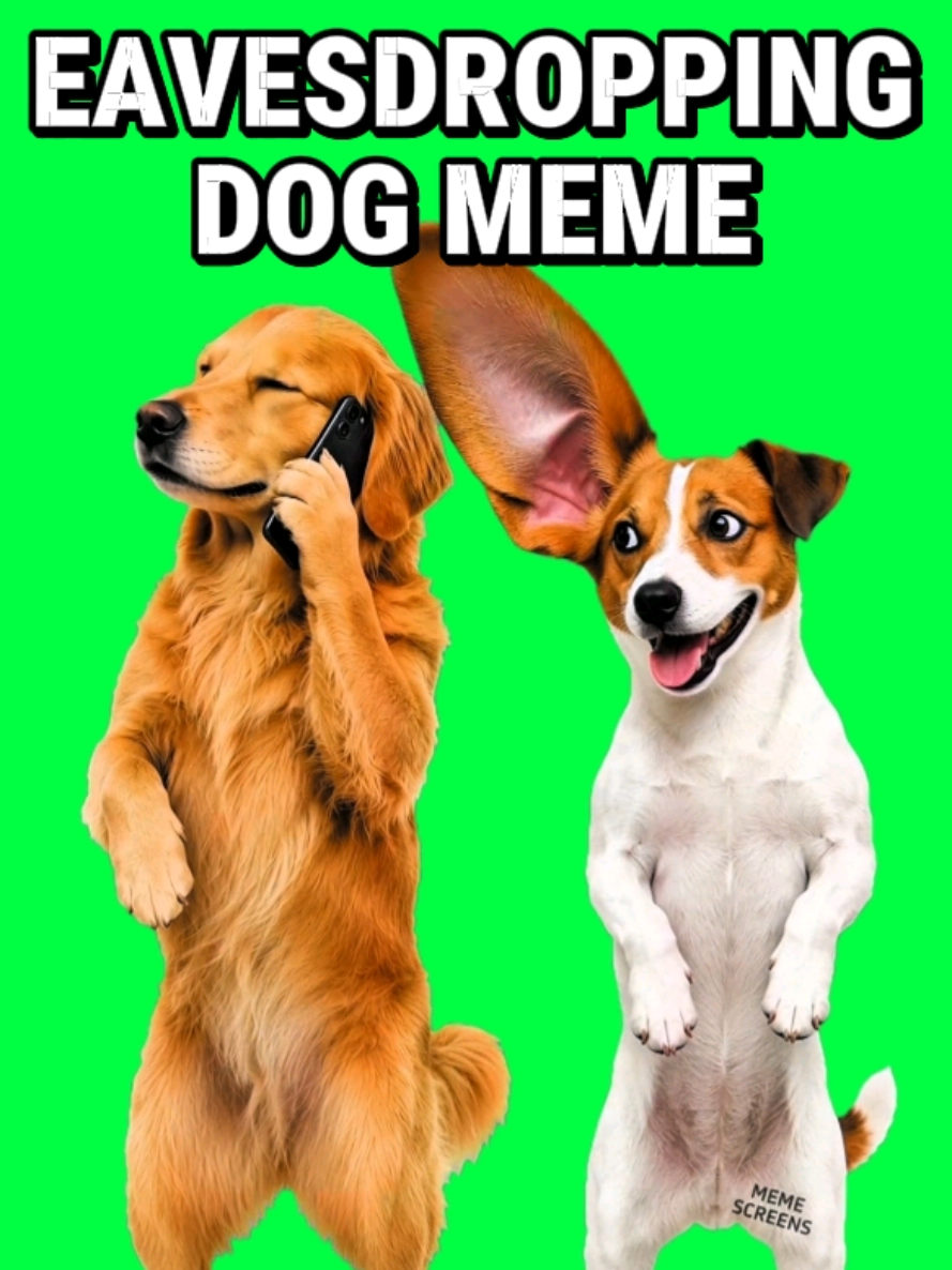 @MemeScreens