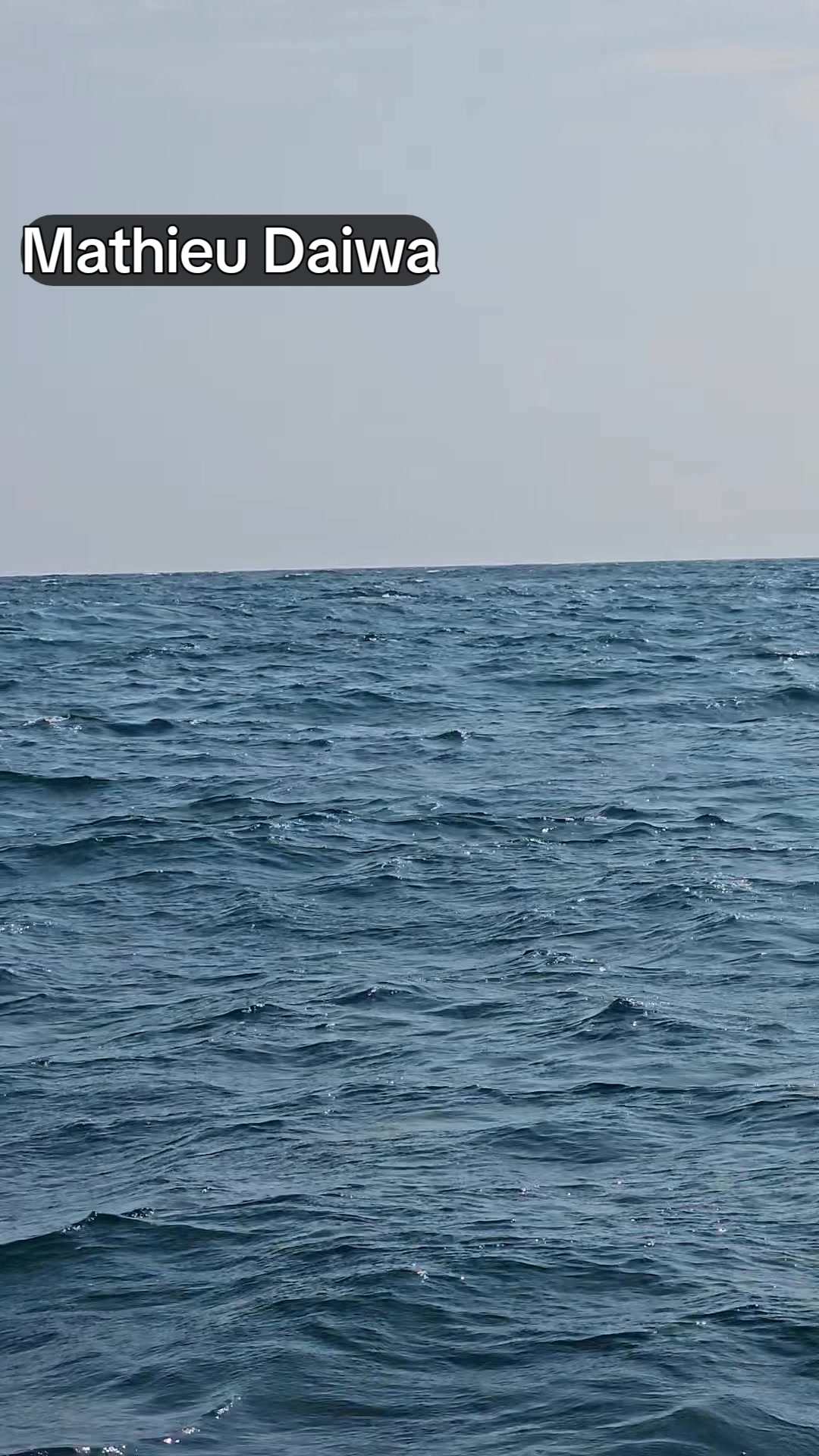 @Chasse Sous-Marine Bénin