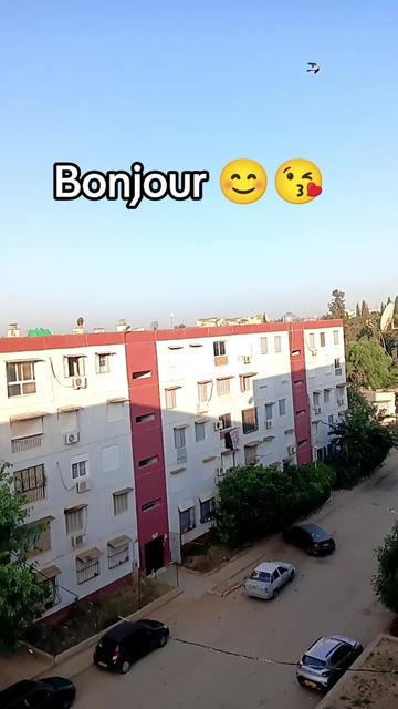 @Djallal Algérie 🇩🇿🇫🇷