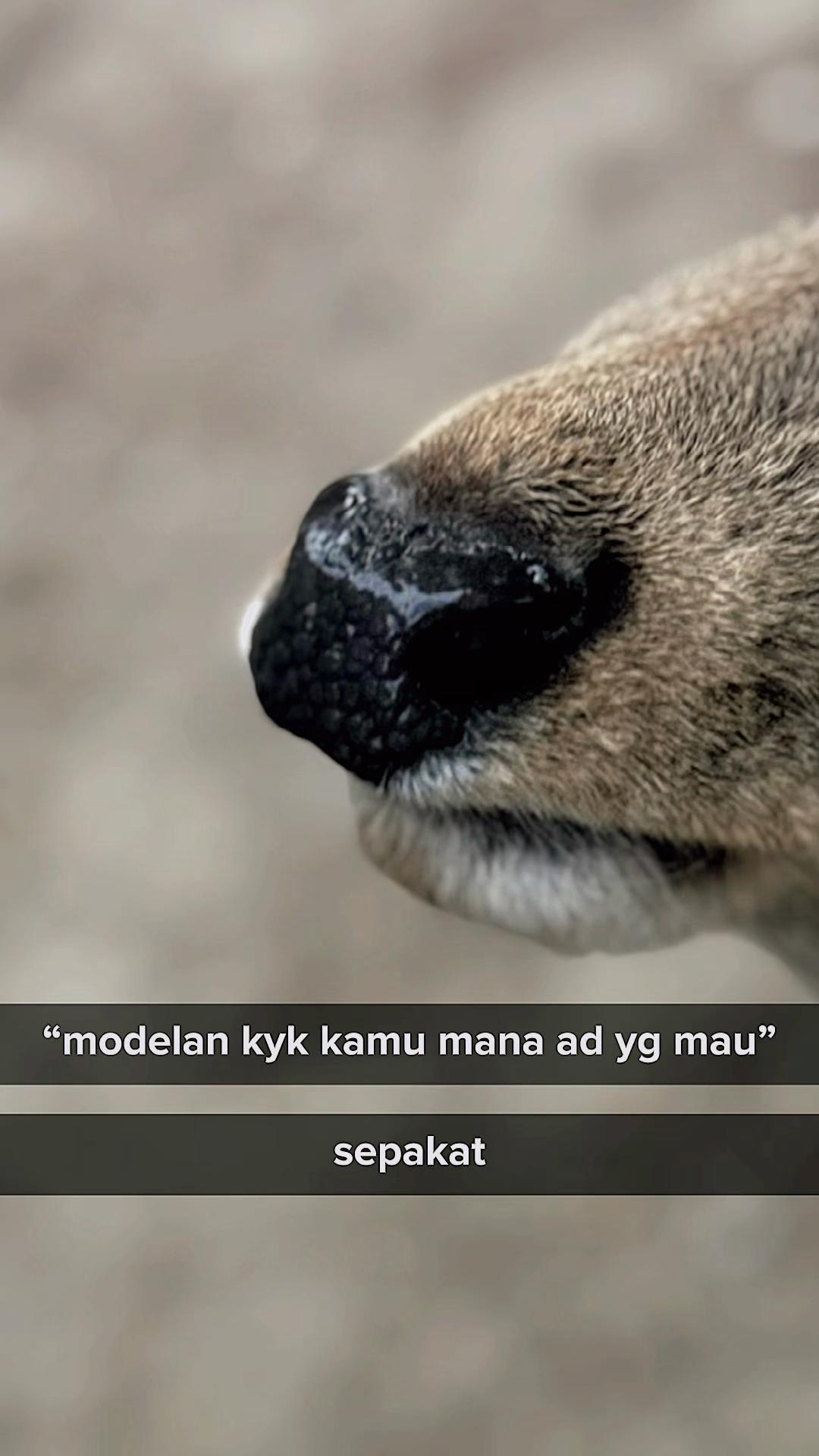 @Na_🐈