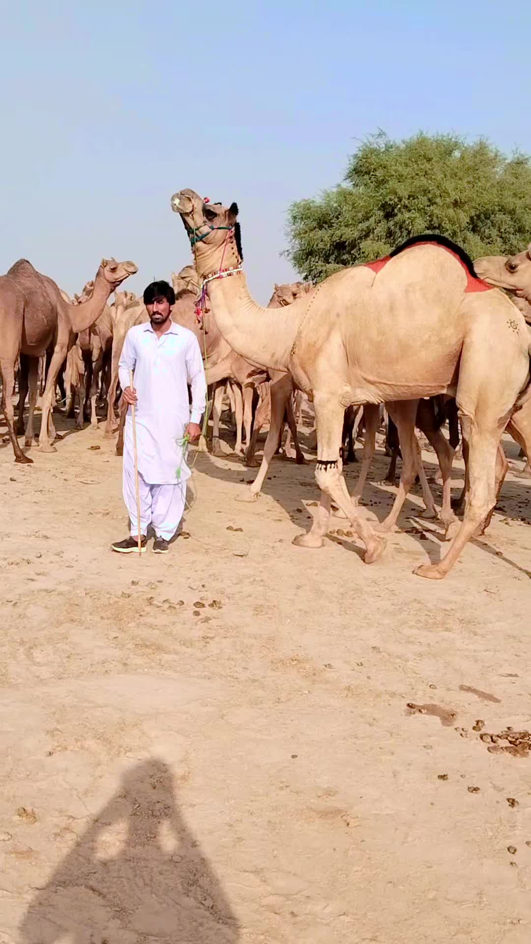 @M.Abbas