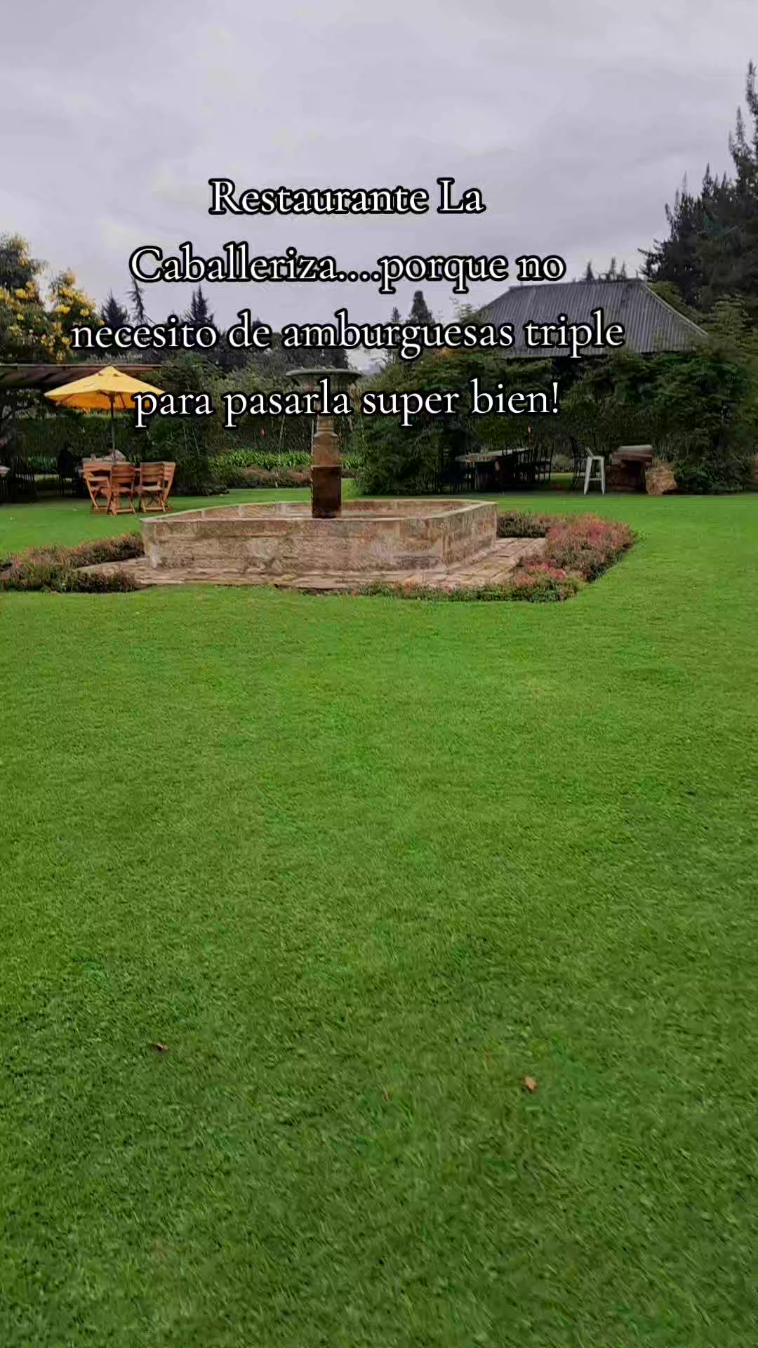 @La Pivijayera