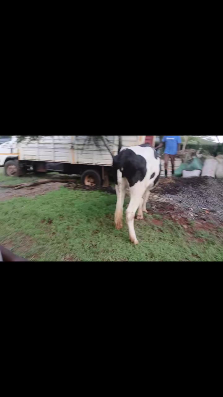 @Dennis Mukundi Wambui