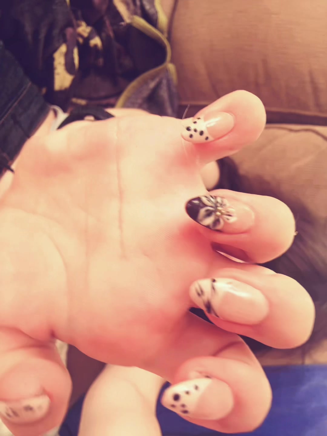 @🕸️