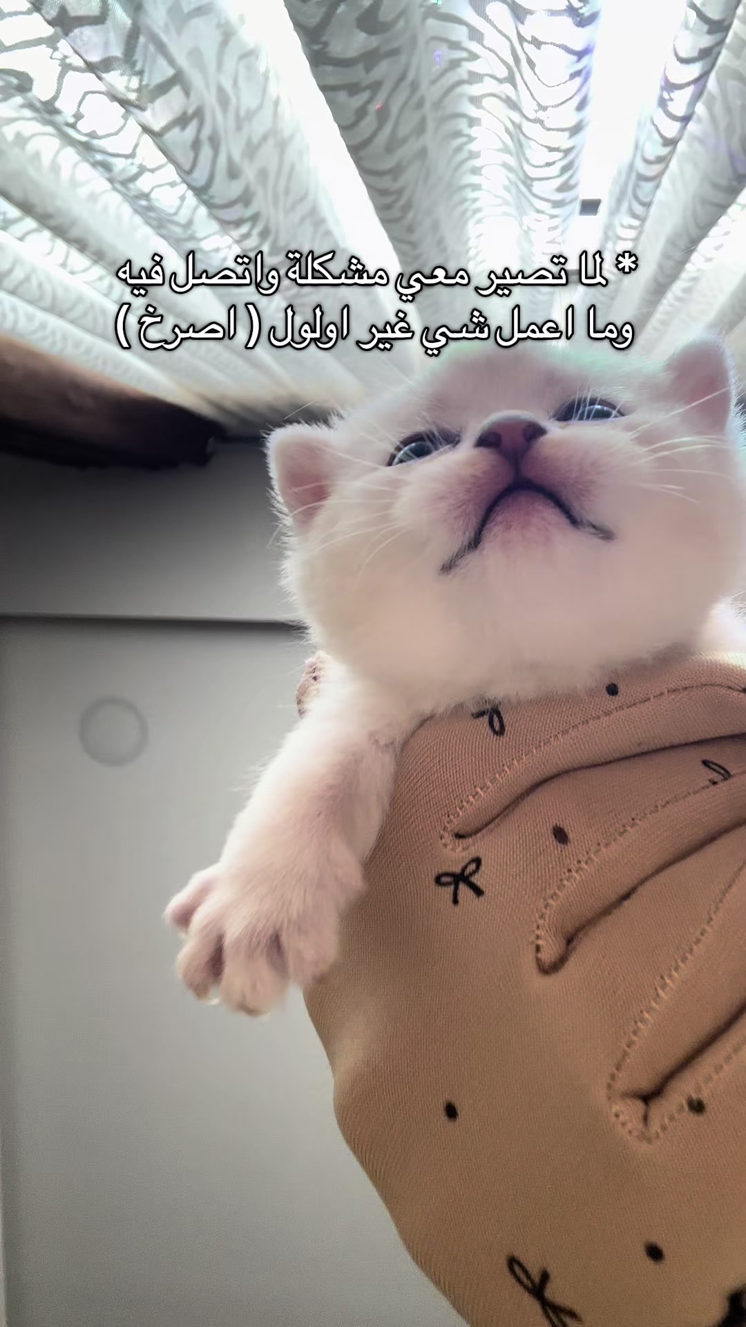 @الديموزيل ✨