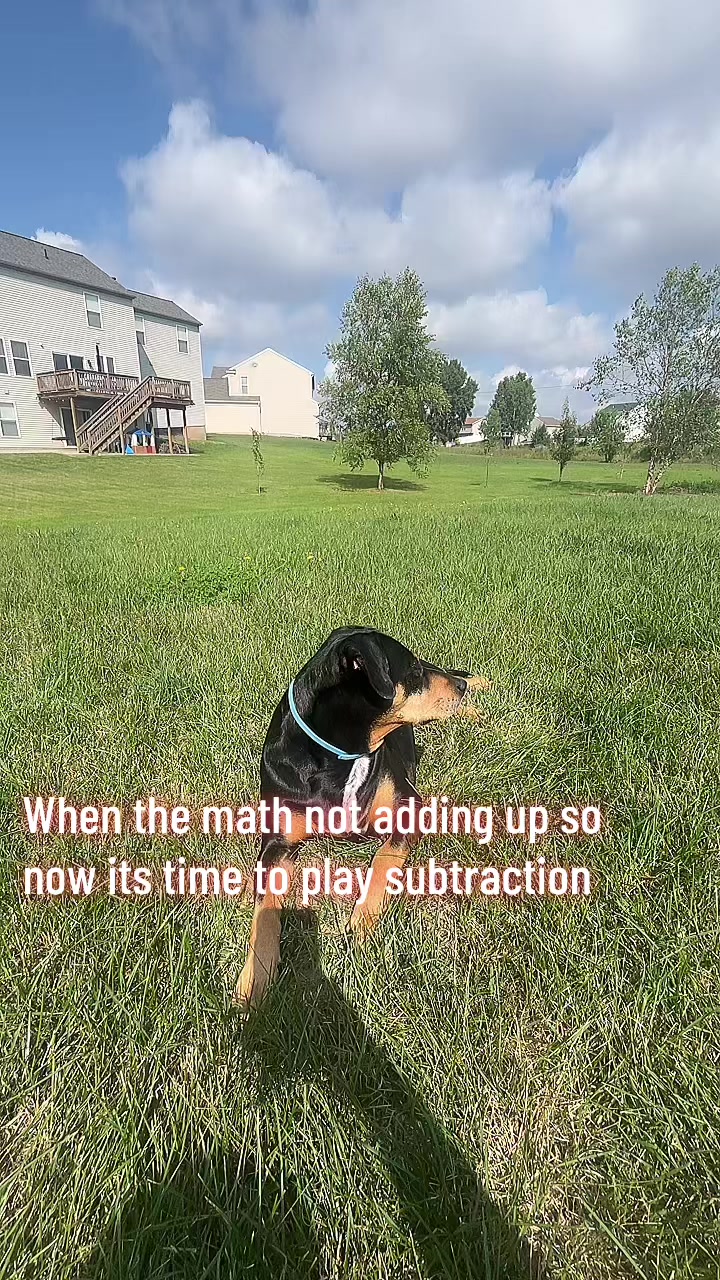 @Mercedes Sanchez