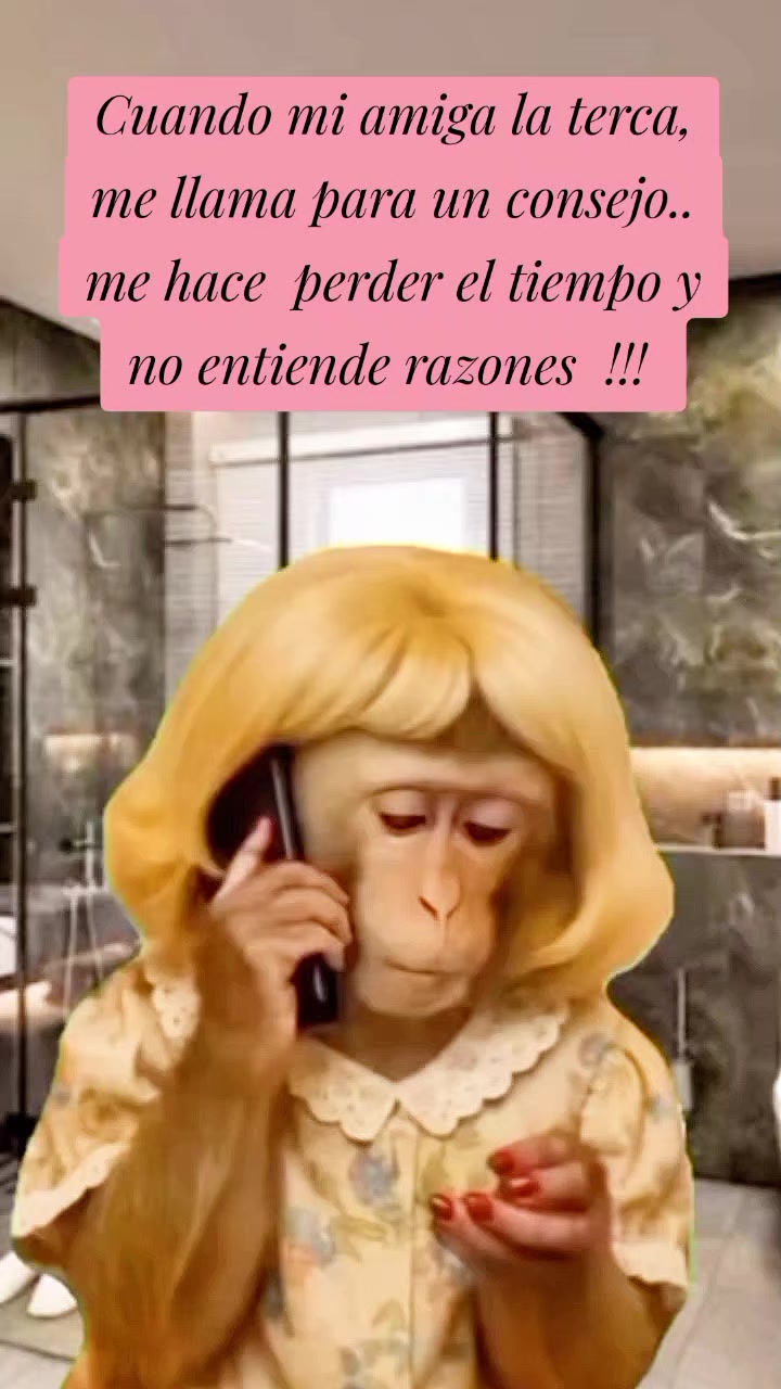 @Barbara te sigue