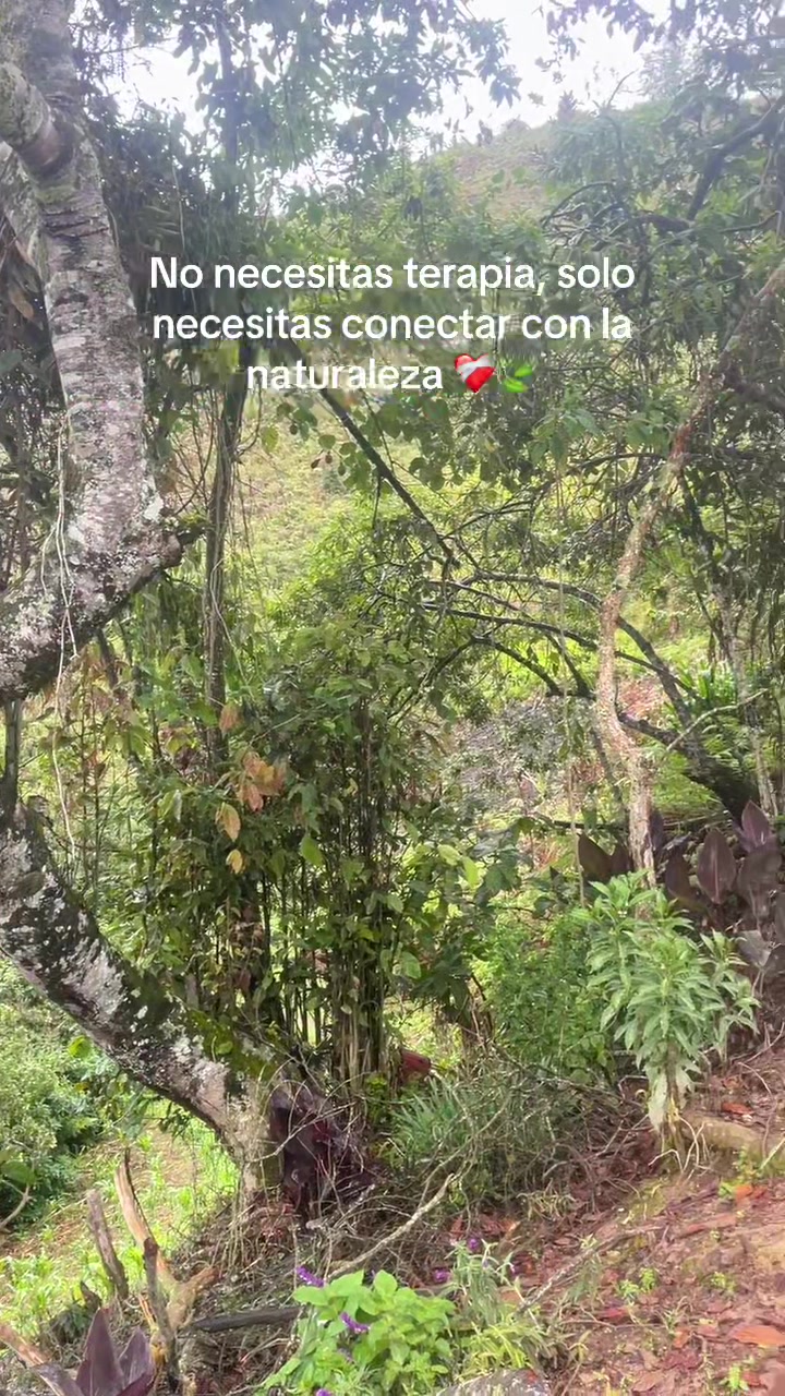 @alemedinag2405
