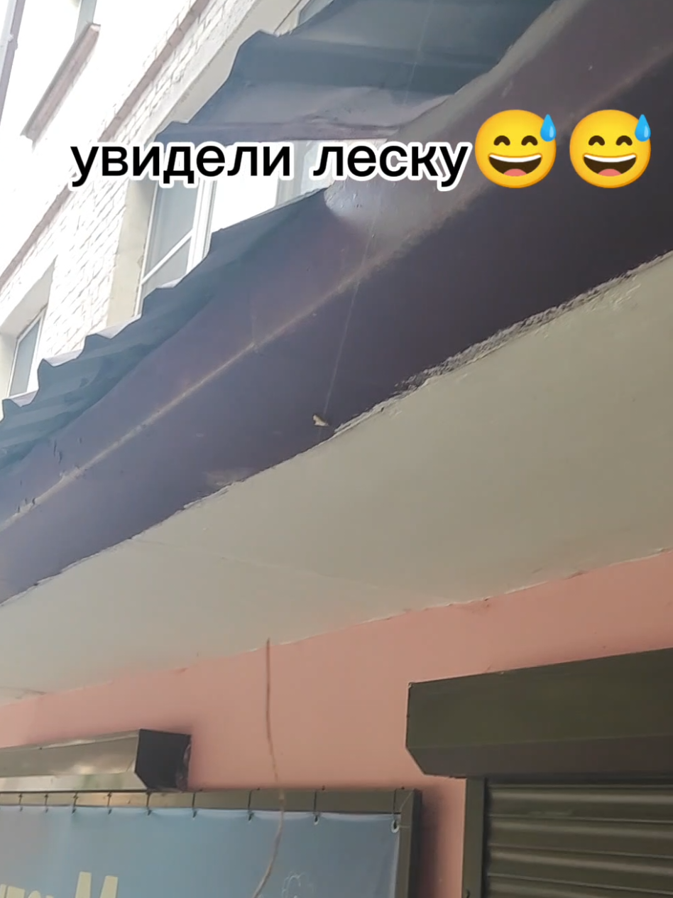 @артём