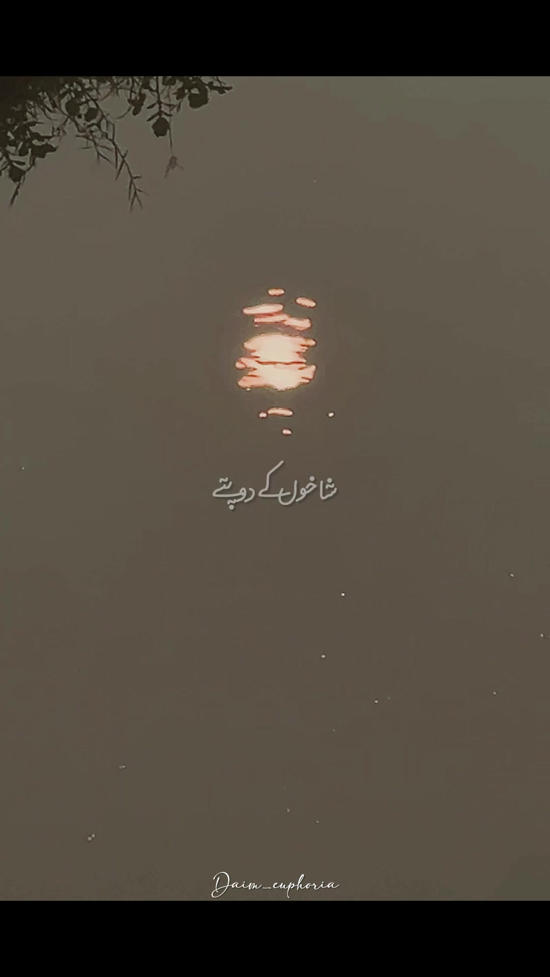 @daim_euphoria