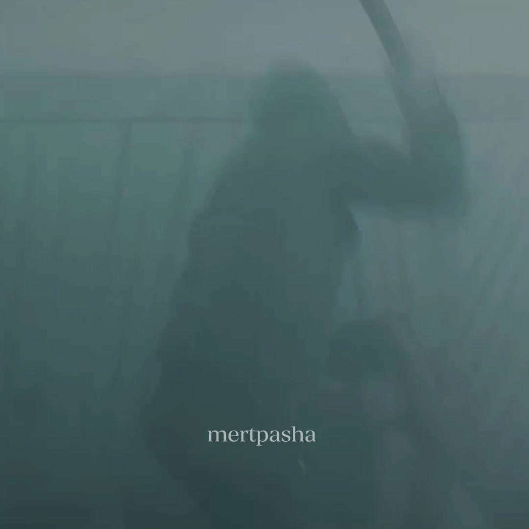 @mertpasha