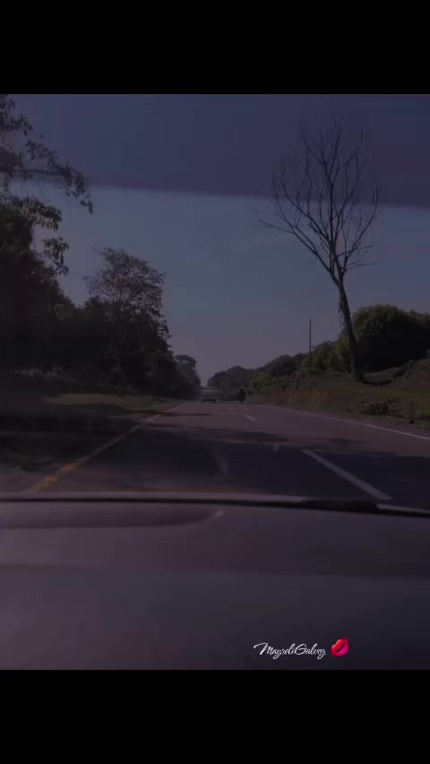 @mayreligalvez