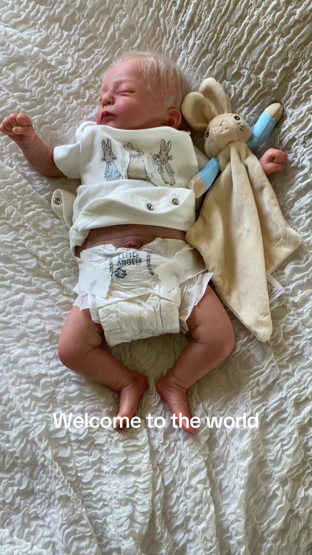 @Miss Bees Reborn Babies