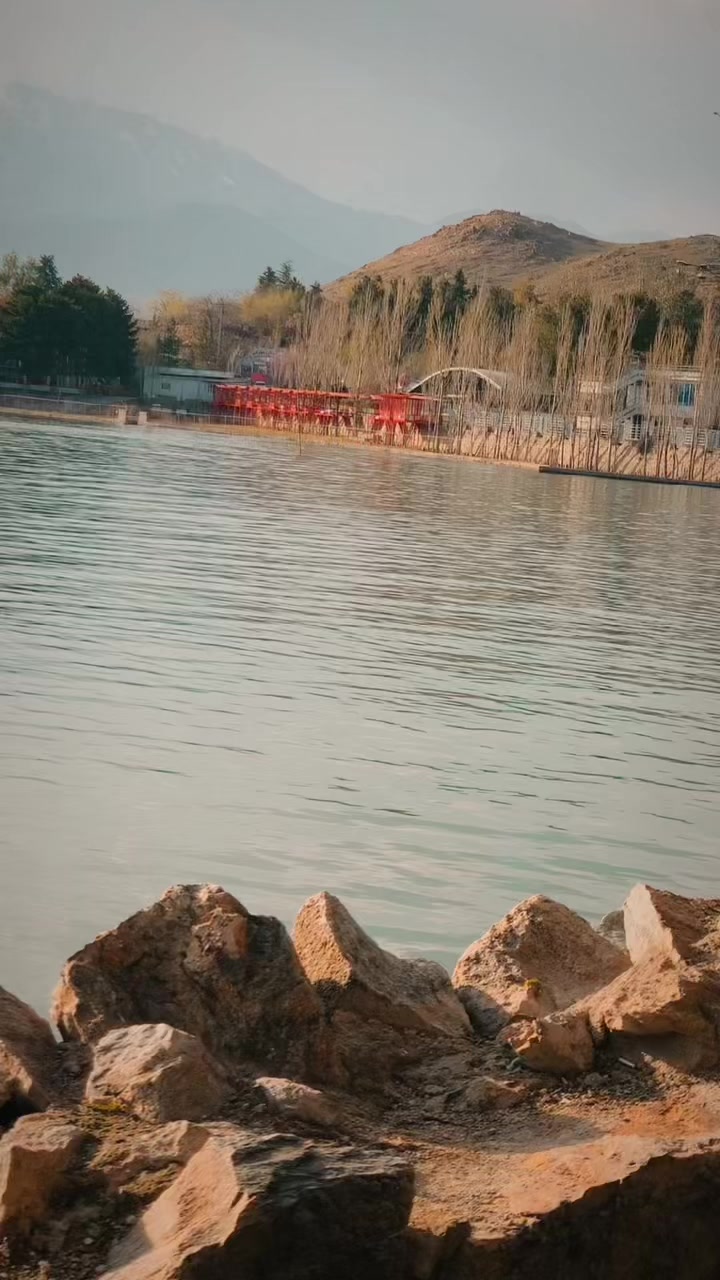 @🌸 𝓠𝓾𝓮𝓮𝓷 🌸