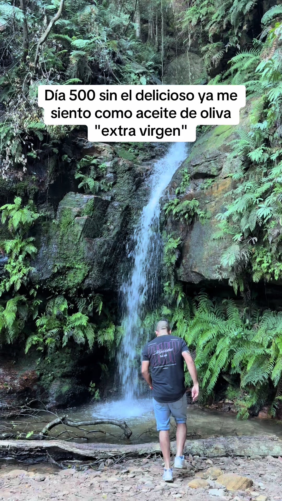 @Claudio Camarada 🧉