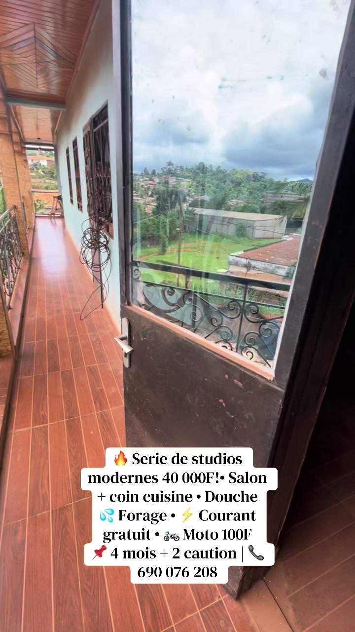 @DINO~IMMO~237🇨🇲🇨🇲
