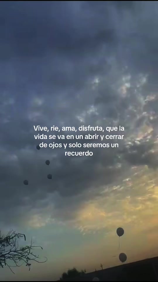 @Mayito