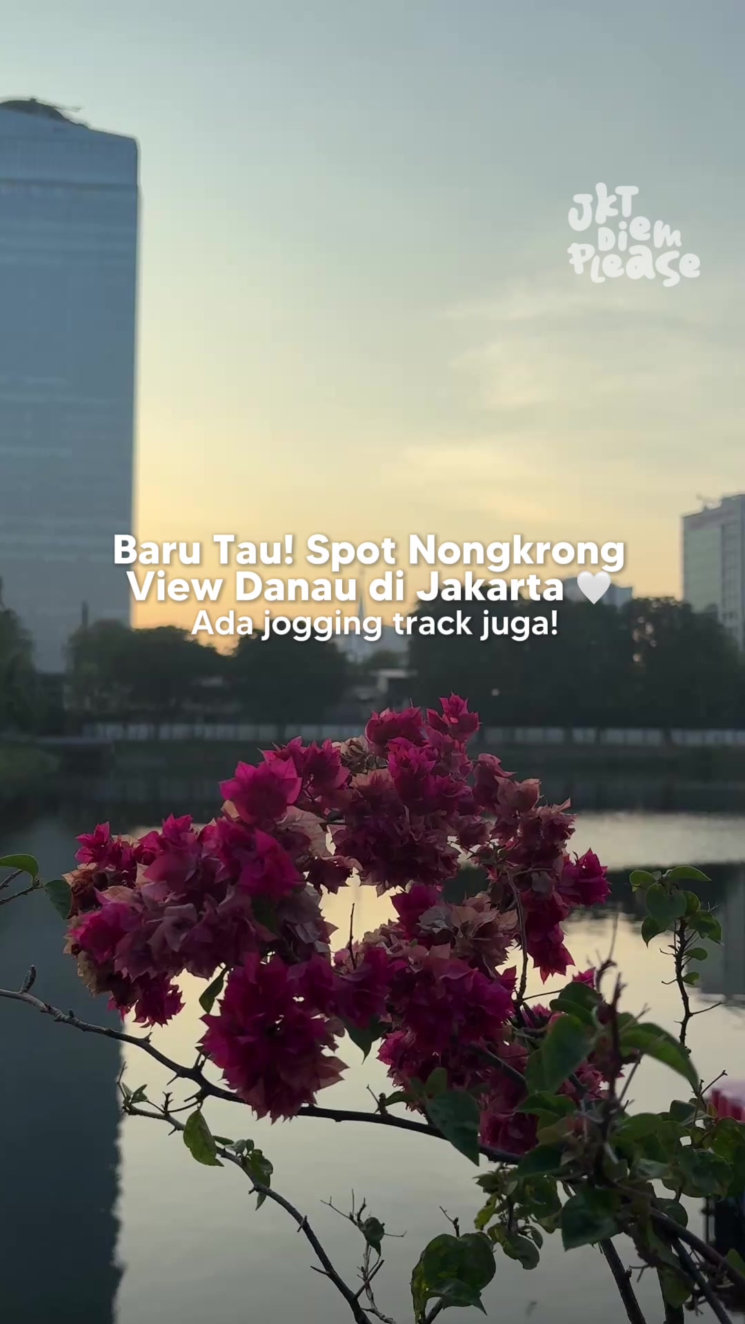 @JKT Diem Please