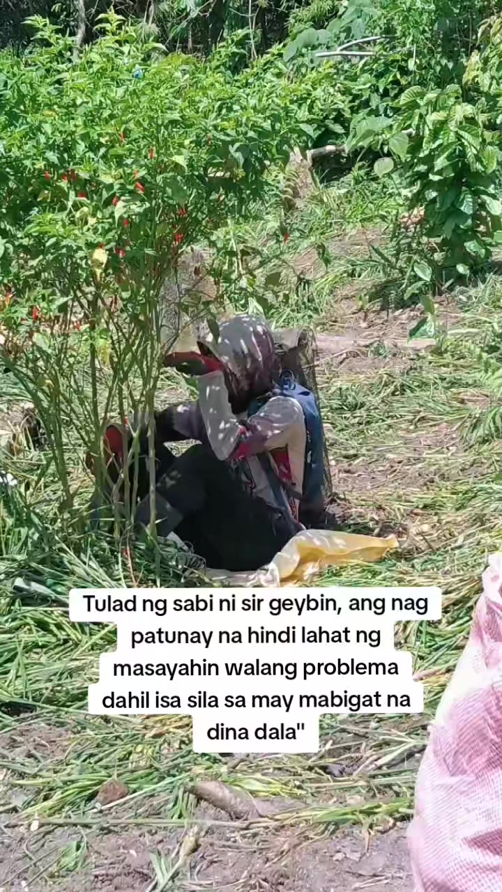 @Ar Ar