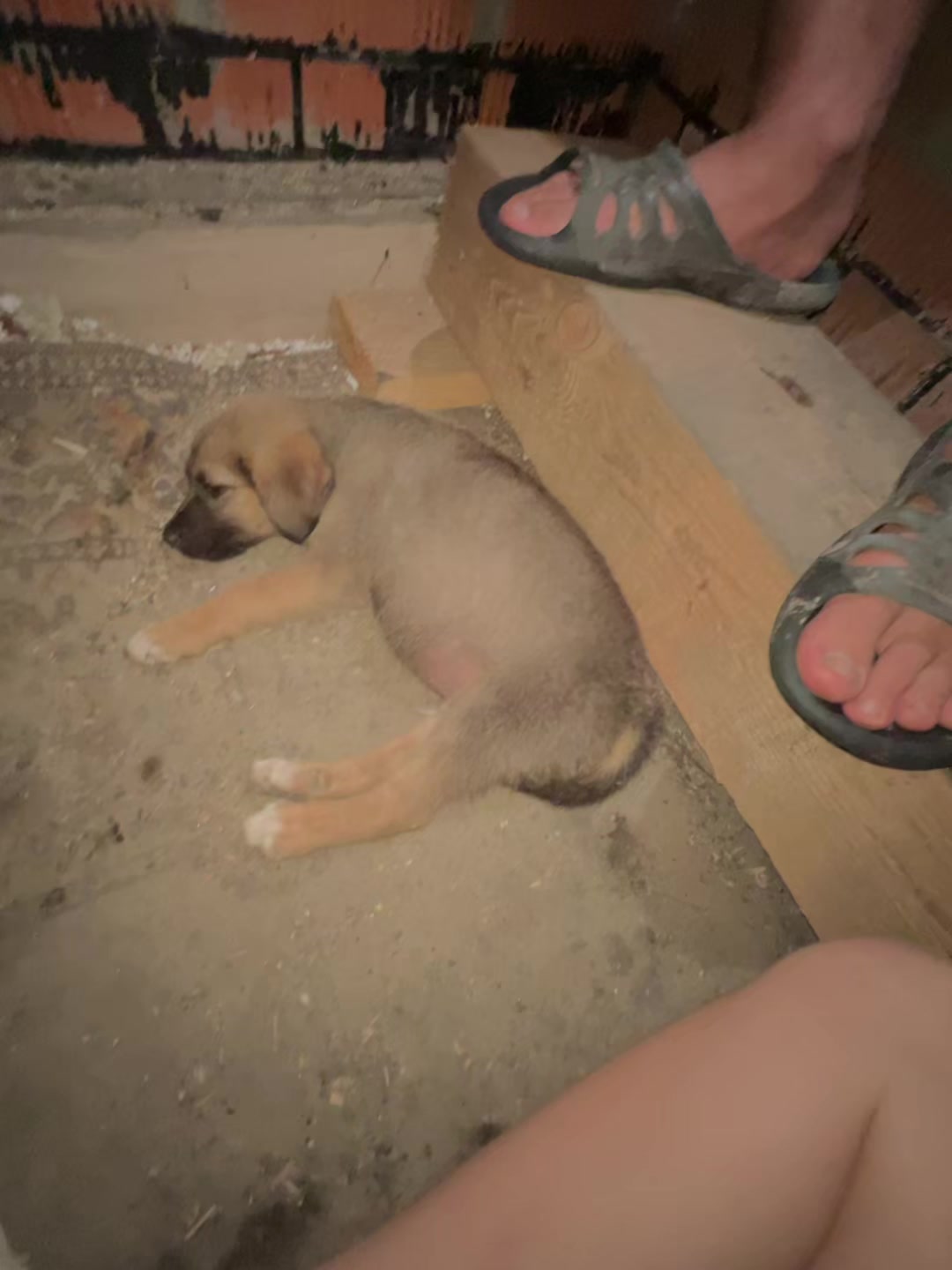 @калерия.