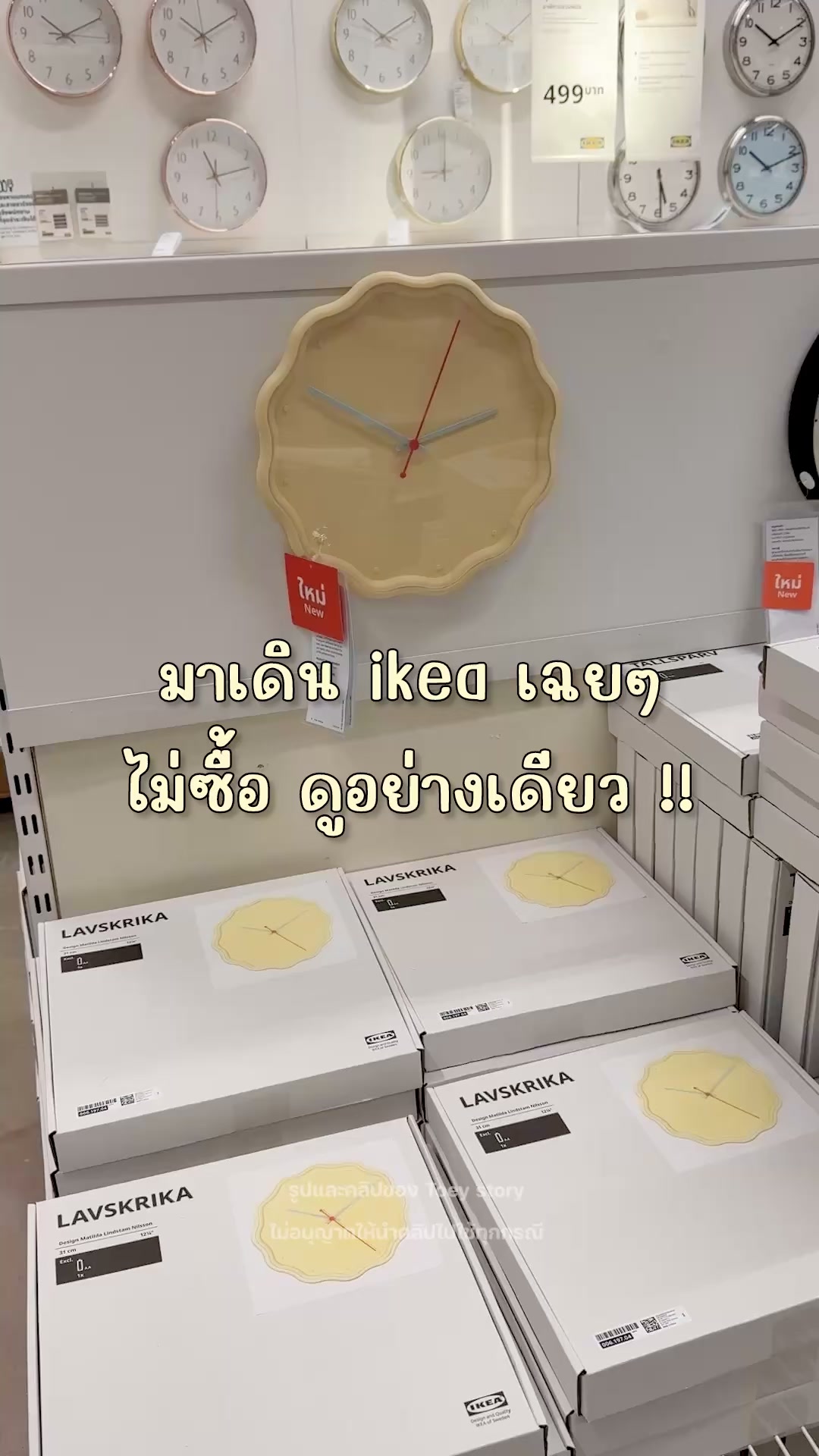 @Toey Story