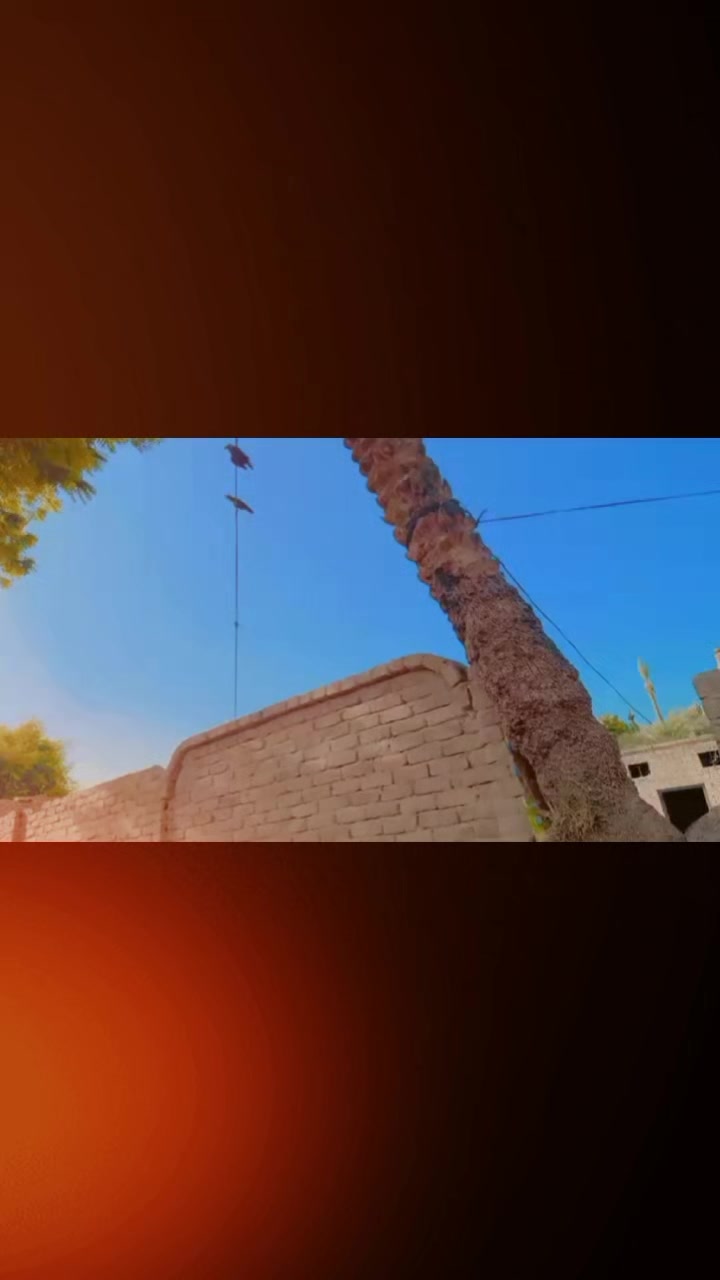 @درندہ ︻╦デ╤━✨💸