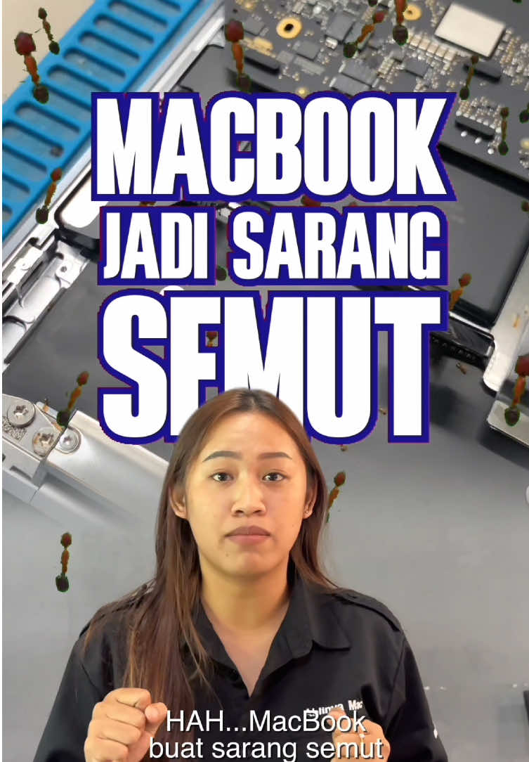 @MacStoreSolo
