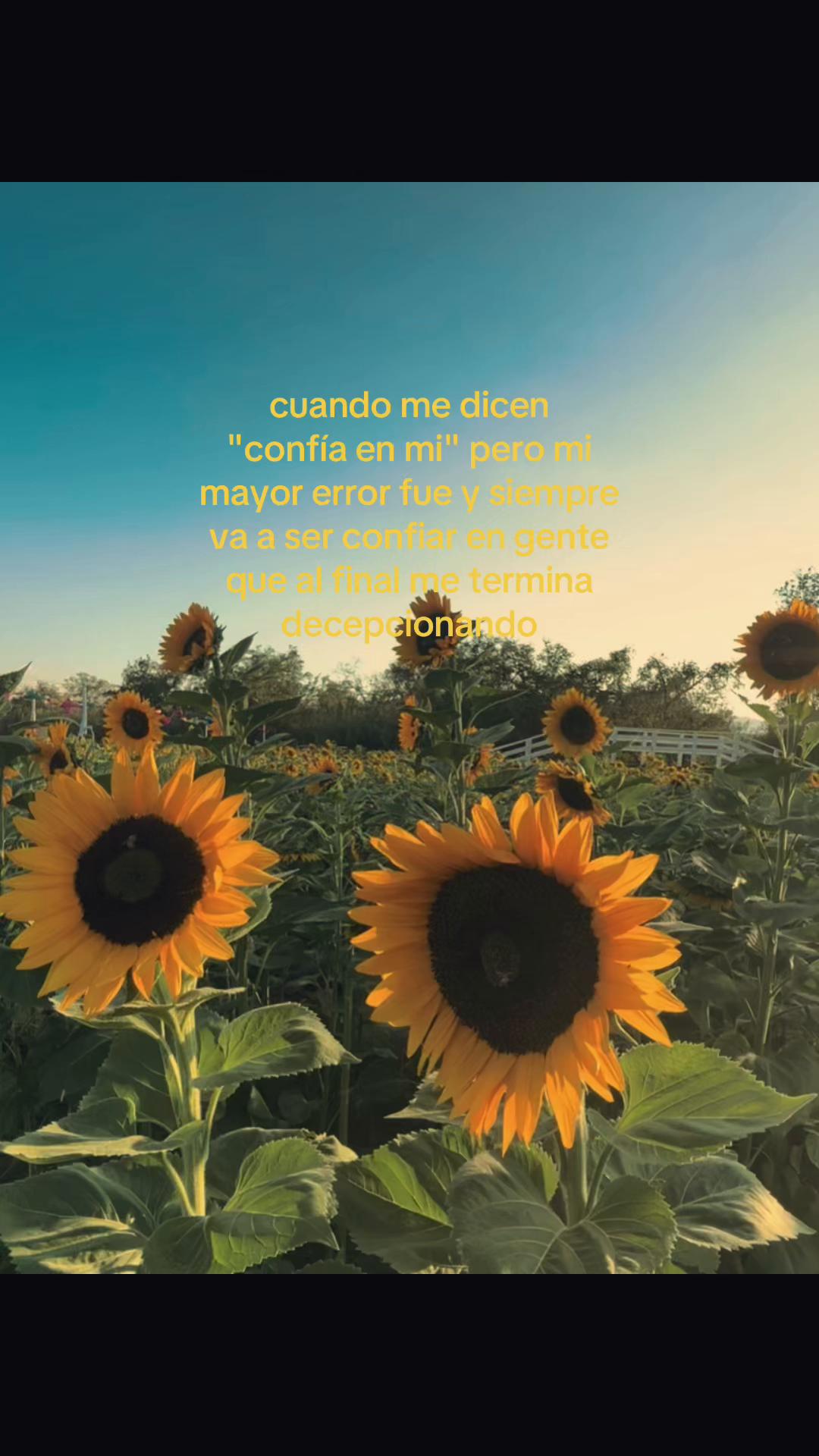 @𝓥𝓪𝓷𝓮🫧