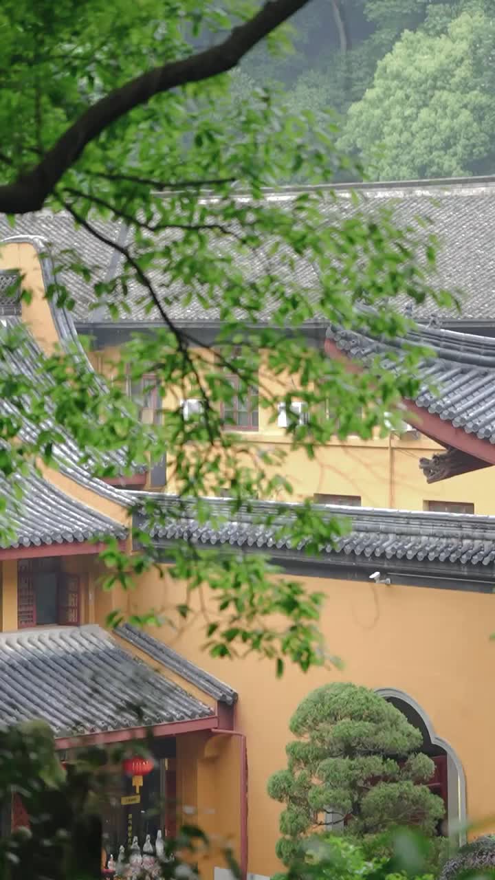 @紫斗天禄
