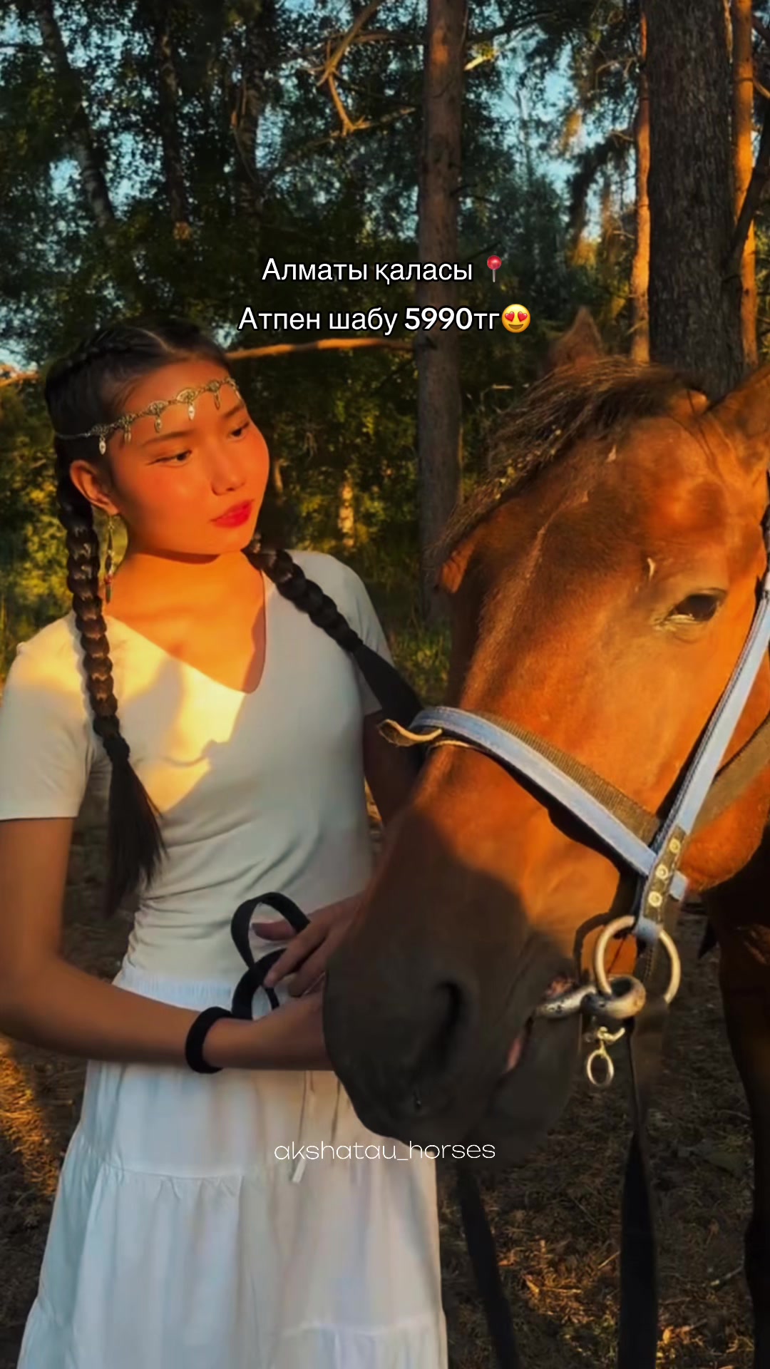 @akshatau_horses
