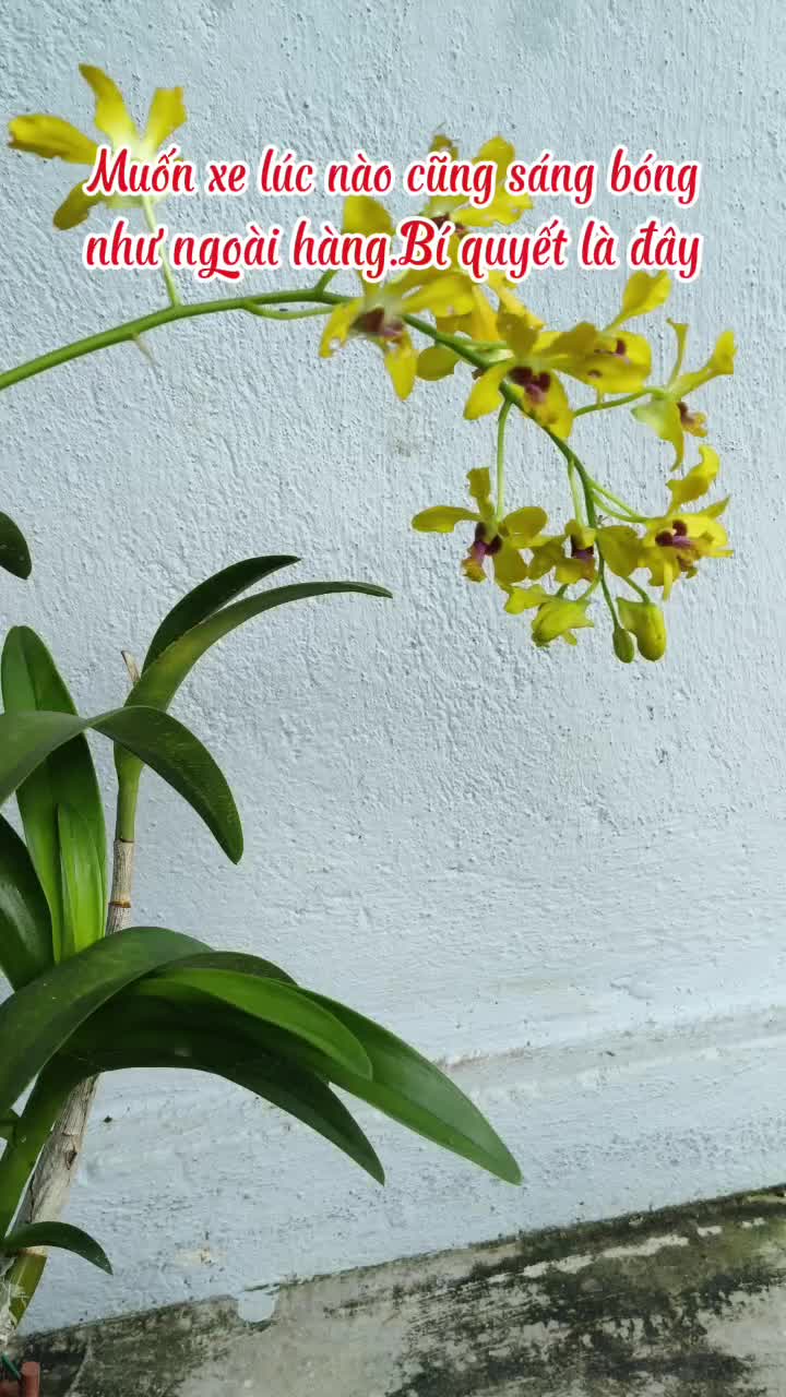 @Nguyễn Thiện Nh&acirc;n