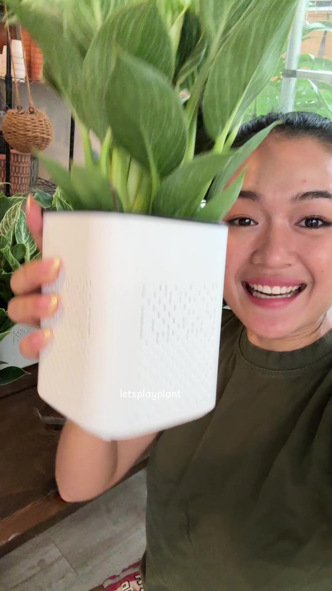 @Tú Nhi - Let's play plant