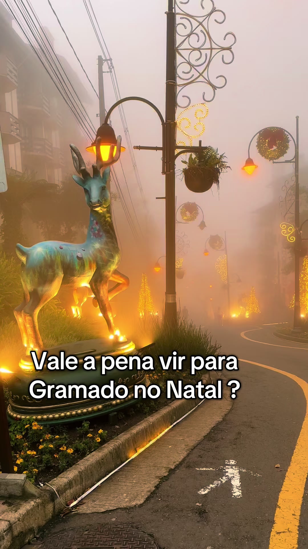 @miriam.gramado