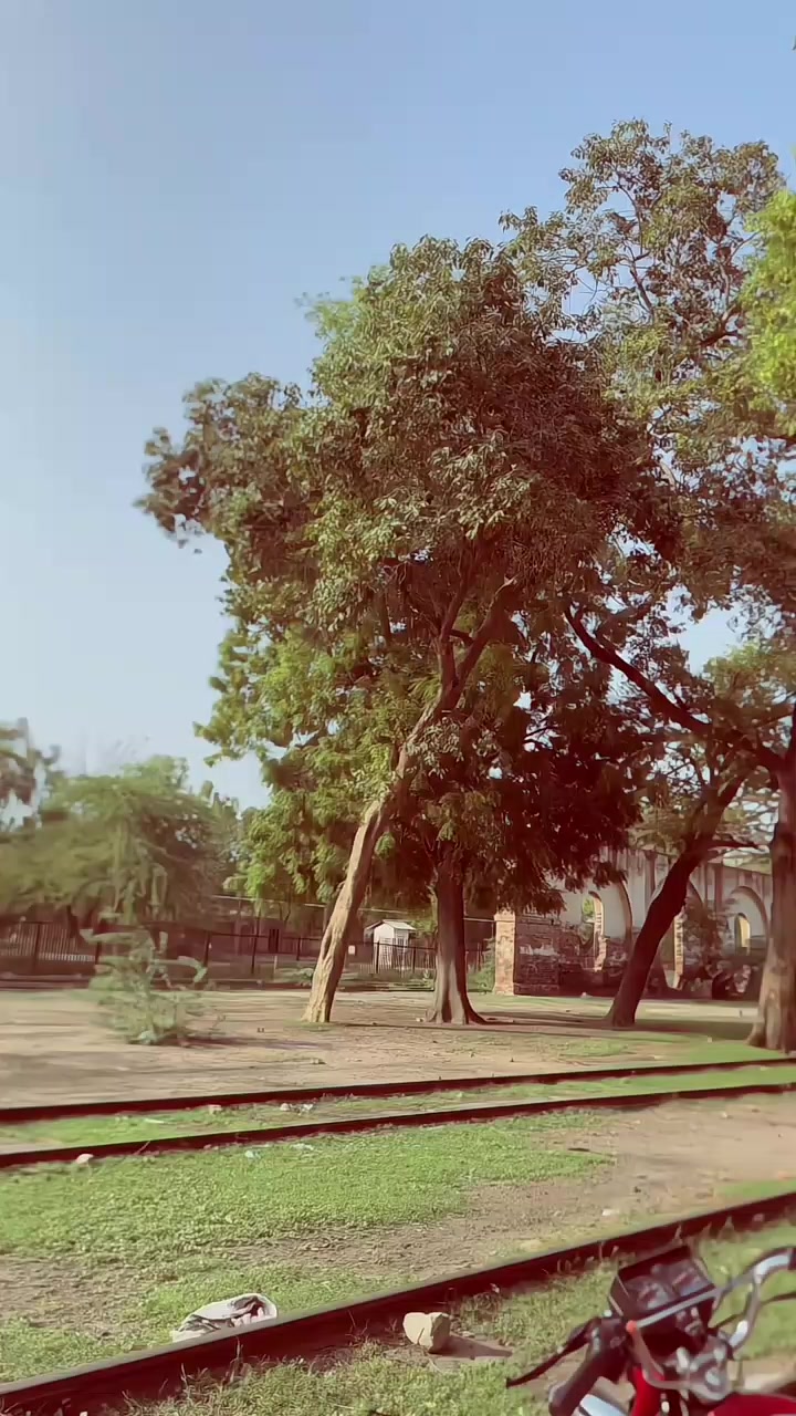 @shanichishti9